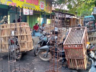 Para pedagang ayam kampung di pasar unggas pasar pagi kota Pemalang