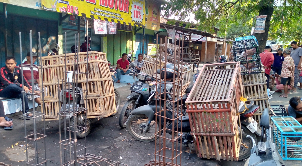 Para pedagang ayam kampung di pasar unggas pasar pagi kota Pemalang