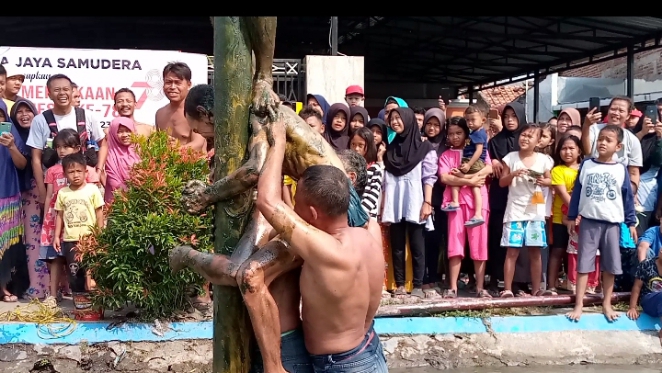 Peserta panjat salin berebut hadiah yang ada di atas dengan tinggi 6 meter