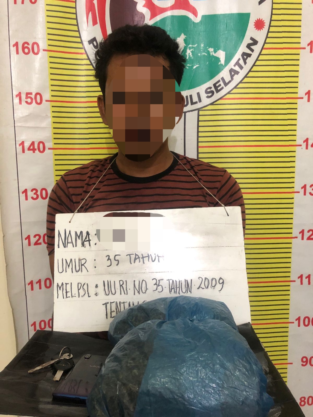 Sat Resnarkoba Polres Tapsel tangkap kurir ganja 700 Gram asal Kabupaten Madina