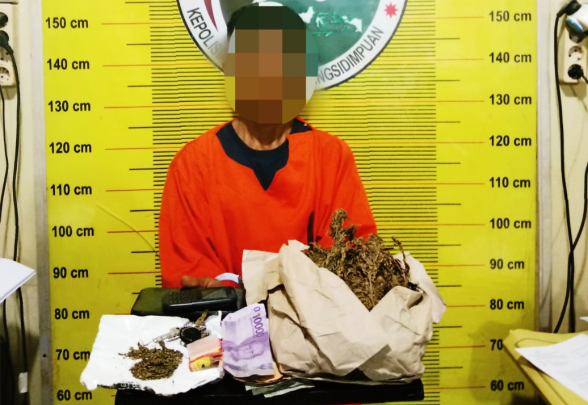 Seorang terduga bandar ganja yang akhirnya tertangkap di tangan jajaran Sat Resnarkoba Polres Padangsidimpuan