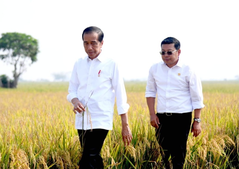 Presiden Joko Widodo (kiri) dan Plt Menteri Pertanian Arief Prasetyo Adi (kanan)