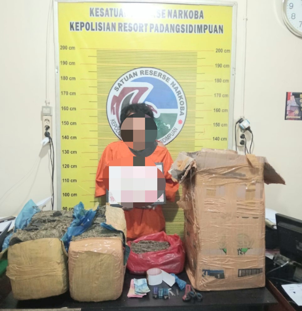 ADH berikut barang bukti jenis ganja seberat 22.5 Kg usai diamankan Timsus ke Sat Resnarkoba Polres Padangsidimpuan