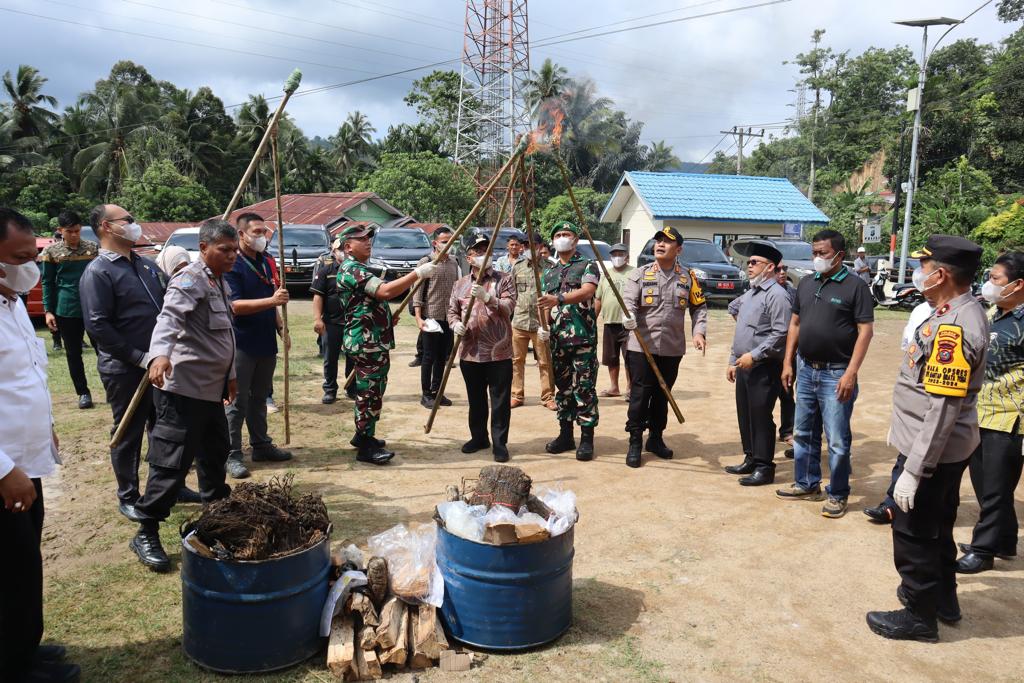 Kapolres Padangsidimpuan, AKBP Dudung Setyawan, bersama Pj Wali Kota, Letnan Dalimunthe, Dandim 0212/TS, Letkol Inf Amrizal Nasution, Danyonif 123/RW, Letkol Inf Emick Chandra Nasution, dan lainnya, kompak saat memusnahkan barang bukti ganja dengan cara dibakar