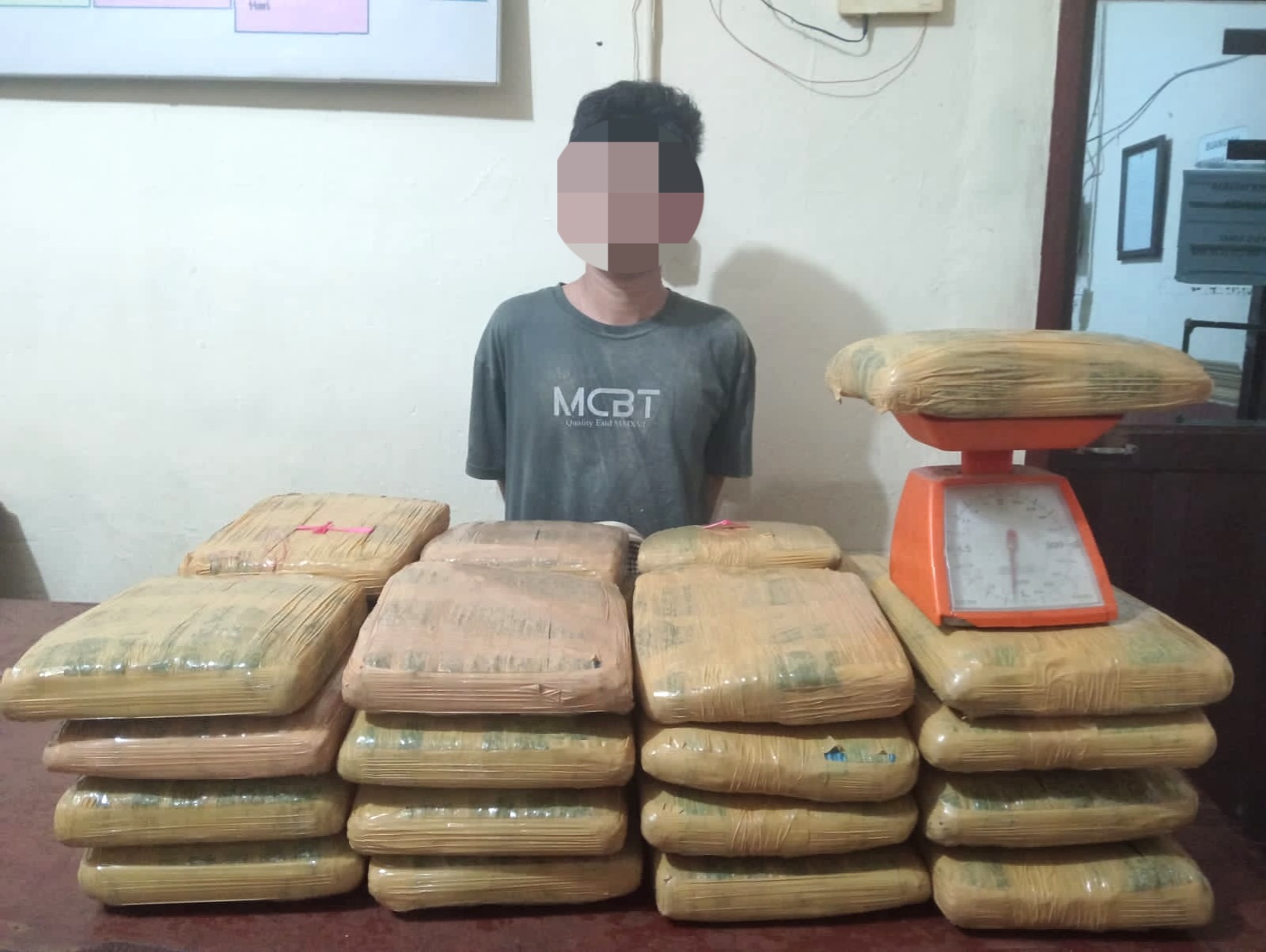 Pemuda 22 tahun berinisial, SD, usai ditangkap Tim Opsnal Satresnarkoba Polres Padangsidimpuan usai gendong 35 Kg lebih ganja