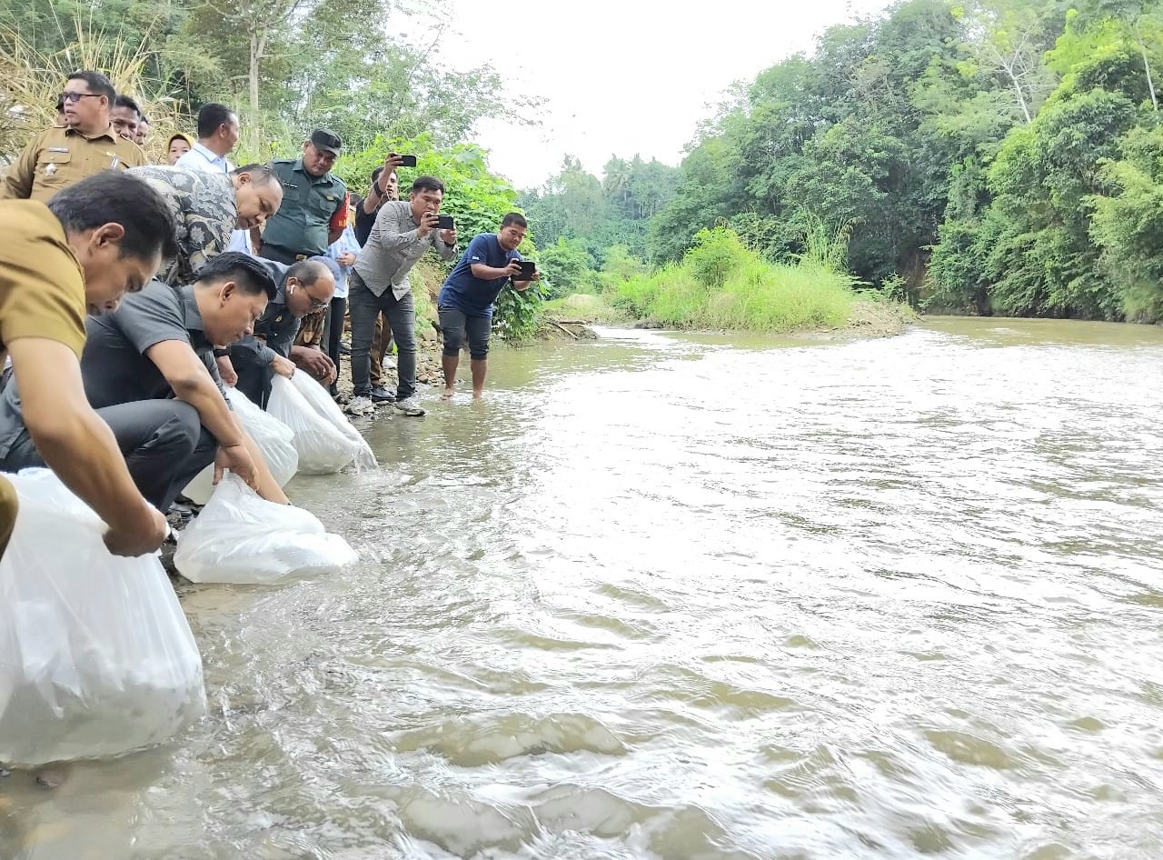 Pj Wali Kota Padangsidimpuan, Letnan Dalimunthe, bersama unsur Forkopimda saat menabur puluhan ribu benih ikan bantuan dari Pemprovsu