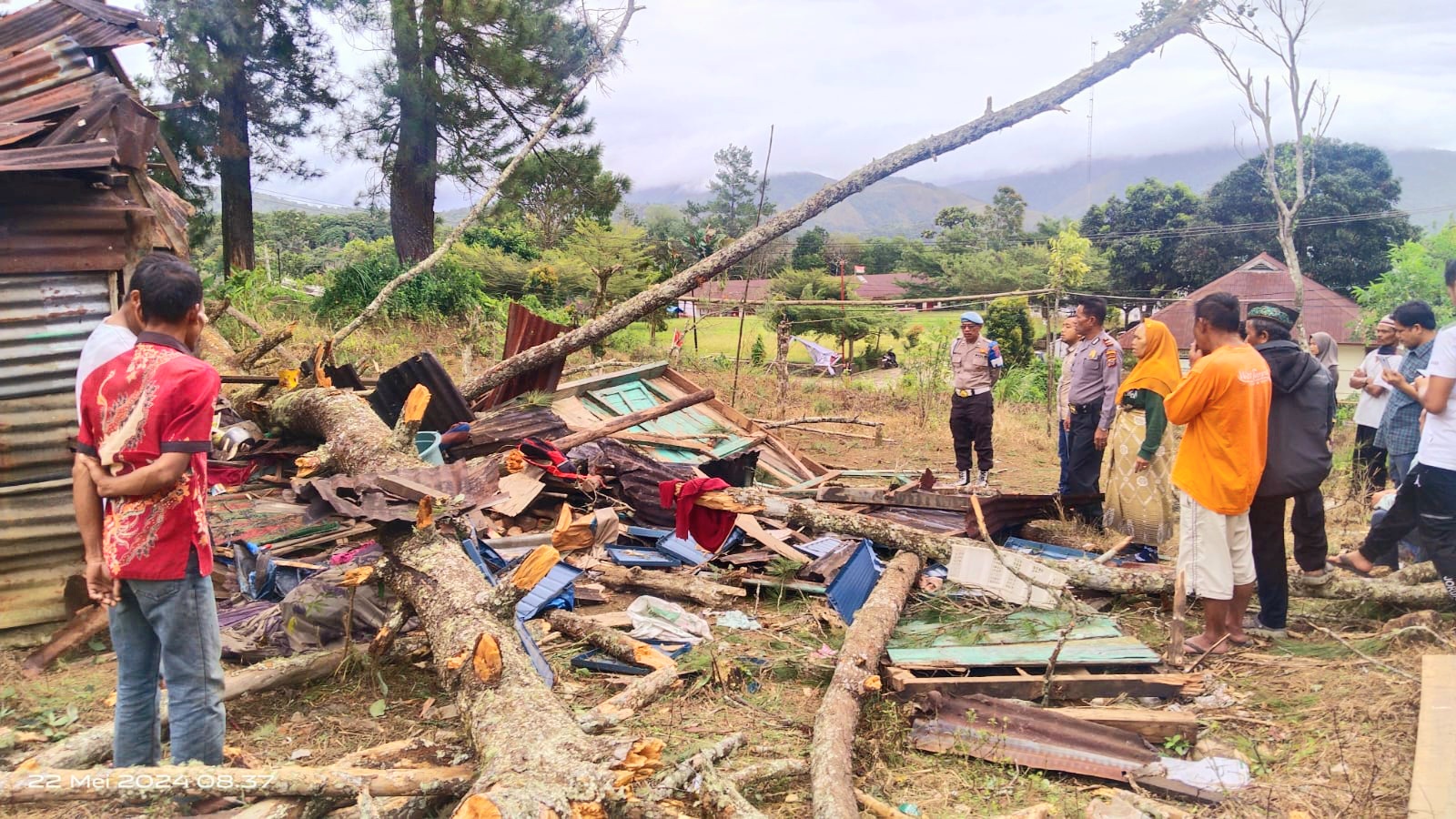 Kapolsek Sipirok, Iptu PM Siboro, dan Kanit Reskrim, Ipda Ahmad Juli Nasution, bersama personel lainnya, saat mengecek TKP tempat Pohon pinus tumbang yang menimpa Rumah yang dihuni sekeluarga