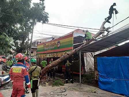 Penanganan pohon tumbang yang menimpa sebuah warung saat hujan deras di kawasan Ciracas Jakarta Timur