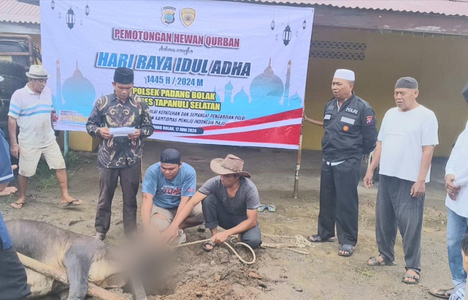 Kapolsek Padang Bolak, AKP Harun Manurung, dan jajaran saat melaksanakan penyembelihan 3 ekor hewan Kurban berupa sapi di Hari Raya 'Idul Adha 1445 H yang dagingnya akan dibagi-bagikan ke masyarakat sekitar