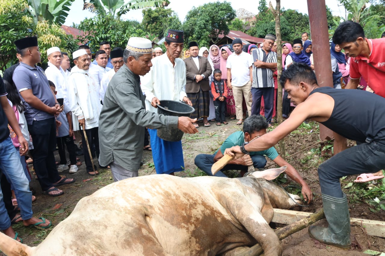 Bupati dan keluarga menyaksikan pemotongan hewan Kurban