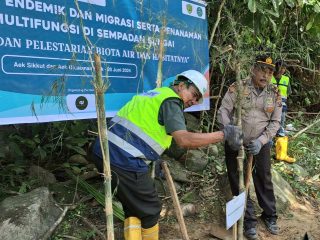 Kapolsek Batang Toru, Iptu RN Tarigan bersama PT NSHE dan Pemkab Tapsel, saat menanam tanaman multi fungsi berupa Pohon bambu serta pelepasliaran ikan endemik di sepadan aliran Sungai perlindungan di Aek Sikkut dan Aek Uluala Namenek sebagai wujud menjaga kelestarian lingkungan