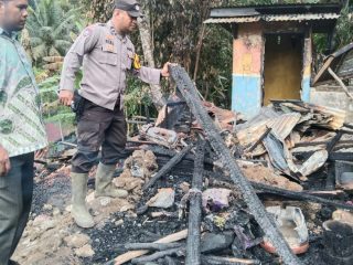 Personel Polsek SD Hole saat melakukan cek TKP insiden kebakaran Rumah kayu di Aek Bilah yang rata dengan tanah