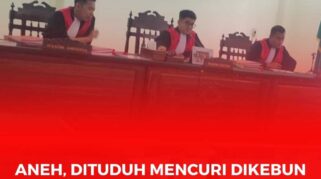 Tampak suasana sidang di PN Poso yang tidak di hadiri pihak perusahaan. Bahkan pihak kuasa hukum juga meminta agar sidang dilaksankan secara offline dan hal ini masih dalam pembahasan dengan majelis hakim