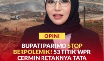 Ketua KADIN Parigi Moutong, Faradiba Zaenong