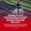 Tampak aktivitas perkebunan oleh masyarakat desa Sintuwu Lemba, berdampak pada upaya peningkatan kesejahteraan masyarakat serta menjadi sumber lumbung penghasil holtikutra di wilayah kabupaten Poso
