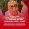 Wakil Ketua Dewan Pertimbangan Kamar Dagang dan Industri Indonesia (Kadin) Sulteng periode 2021–2026, Ahmad Ali