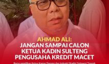 Wakil Ketua Dewan Pertimbangan Kamar Dagang dan Industri Indonesia (Kadin) Sulteng periode 2021–2026, Ahmad Ali