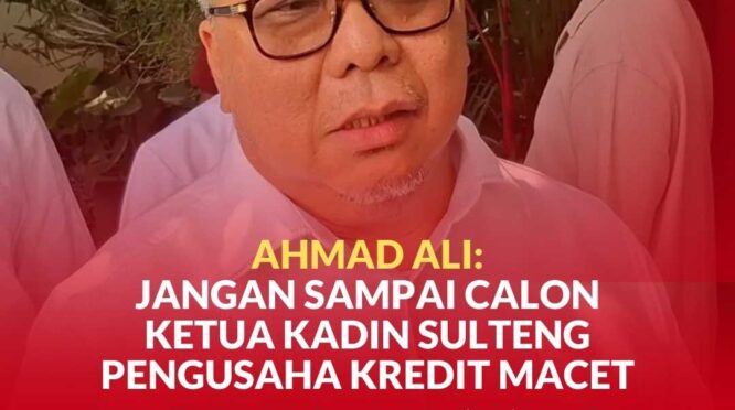 Wakil Ketua Dewan Pertimbangan Kamar Dagang dan Industri Indonesia (Kadin) Sulteng periode 2021–2026, Ahmad Ali