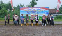 Kapolres Jombang AKBP Ardi Kurniawan, S.H., S.I.K., CPHR saat penanaman Jagung Serempak