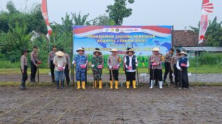 Kapolres Jombang AKBP Ardi Kurniawan, S.H., S.I.K., CPHR saat penanaman Jagung Serempak