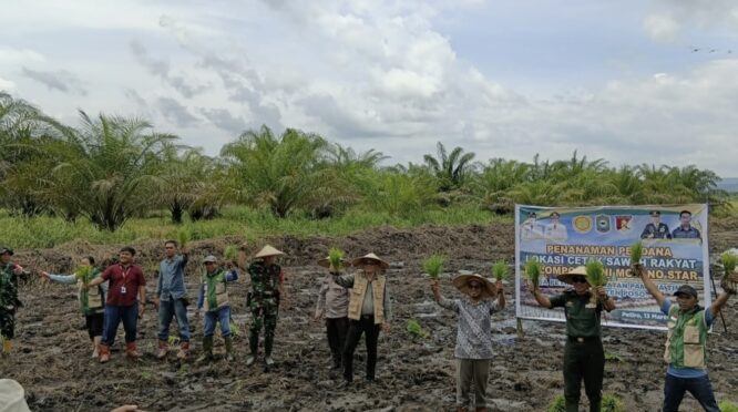Tampak suasana penanaman perdana kelompok tani bersama TNI di Poso