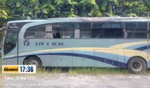 Bus P.O INTRA