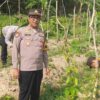 Kapolsek Kudu AKP Imam Subekti meninjau langsung pertumbuhan tanaman uwi ungu di lahan produktif Desa Made, Kecamatan Kudu, Jombang, sebagai bagian program ketahanan pangan Polres Jombang