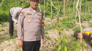 Kapolsek Kudu AKP Imam Subekti meninjau langsung pertumbuhan tanaman uwi ungu di lahan produktif Desa Made, Kecamatan Kudu, Jombang, sebagai bagian program ketahanan pangan Polres Jombang