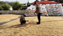 Aipda Supardi memantau penjemuran jagung milik petani di Desa Ngampungan, Kecamatan Bareng, sebagai dukungan terhadap ketahanan pangan