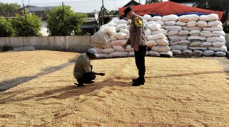 Aipda Supardi memantau penjemuran jagung milik petani di Desa Ngampungan, Kecamatan Bareng, sebagai dukungan terhadap ketahanan pangan