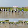 Petani bersama Forkopimcam, Badan Penyuluhan Pertanian (BPP), Penyuluh Pertanian Lapangan (PPL), Babinsa, Bhabinkamtibmas,turun langsung ke sawah sebagai upaya menjaga produktivitas serta ketahanan pangan.