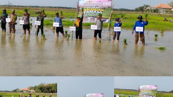 Petani bersama Forkopimcam, Badan Penyuluhan Pertanian (BPP), Penyuluh Pertanian Lapangan (PPL), Babinsa, Bhabinkamtibmas,turun langsung ke sawah sebagai upaya menjaga produktivitas serta ketahanan pangan.