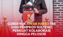 Gubernur Sulteng, Anwar Hafid